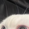 zaramashriqi919